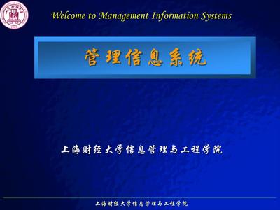第10章信息系統的開發(fā)與實施幻燈片.ppt